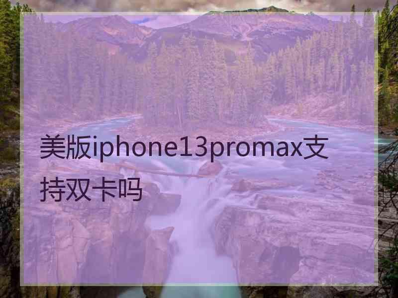 美版iphone13promax支持双卡吗