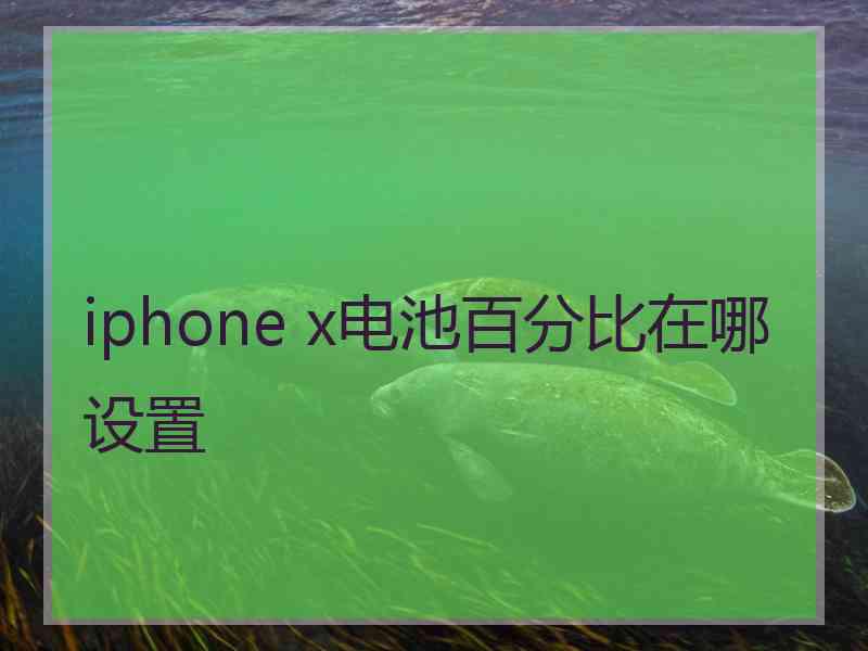 iphone x电池百分比在哪设置