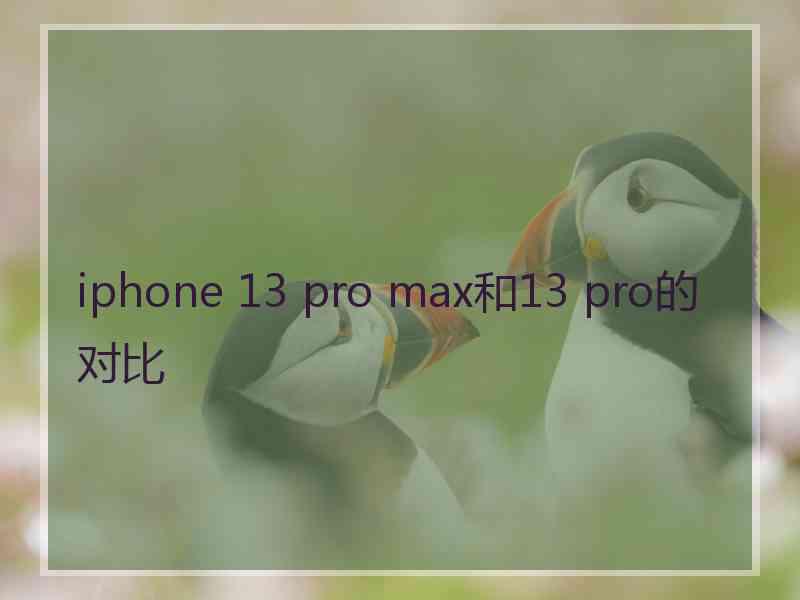 iphone 13 pro max和13 pro的对比