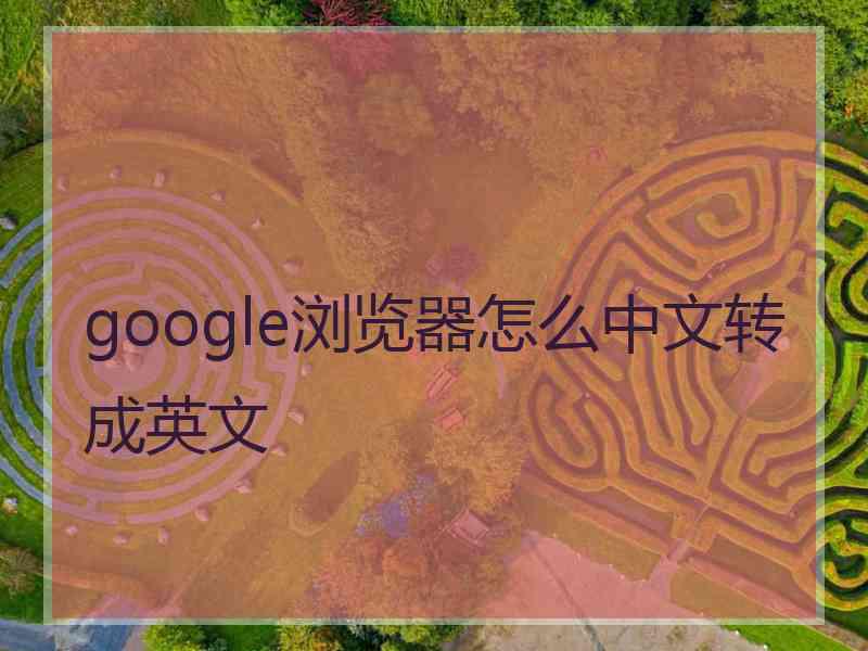 google浏览器怎么中文转成英文