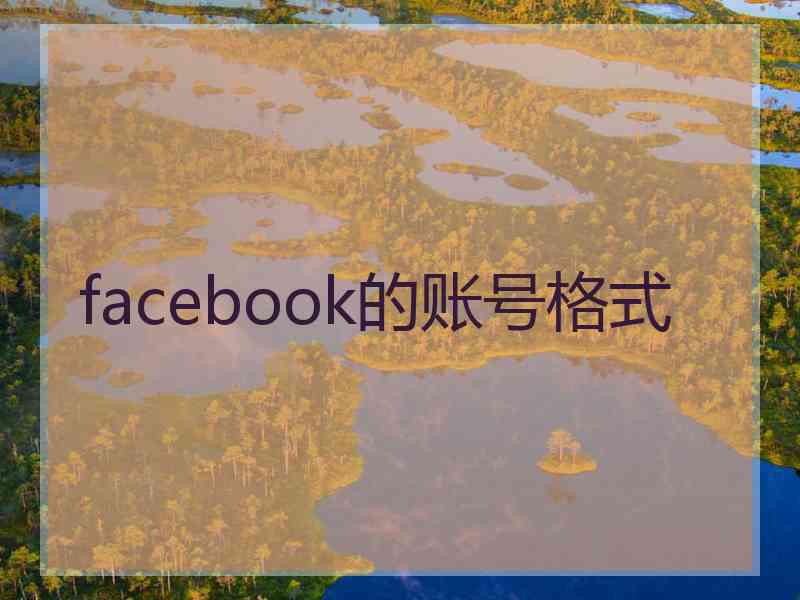 facebook的账号格式