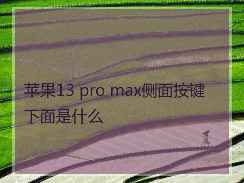 苹果13 pro max侧面按键下面是什么