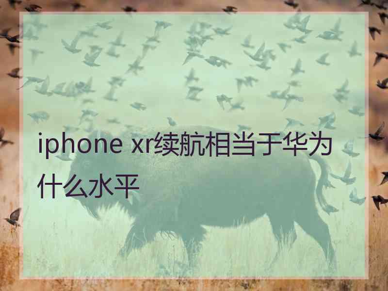 iphone xr续航相当于华为什么水平