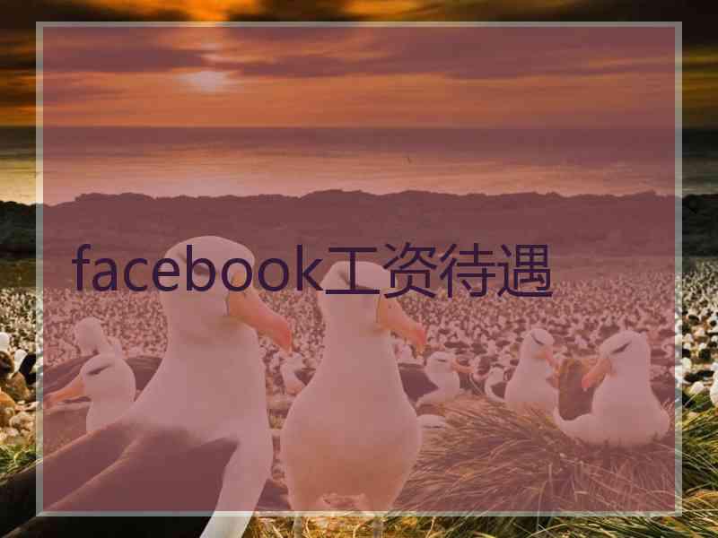 facebook工资待遇