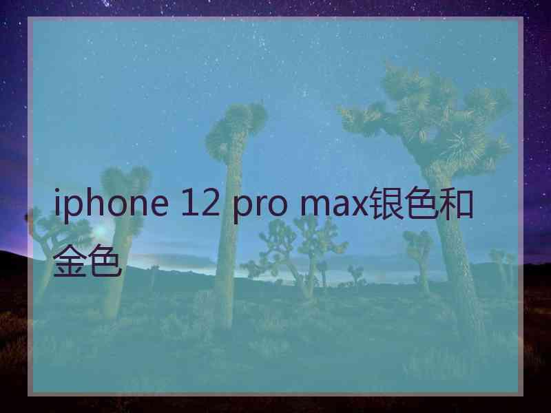 iphone 12 pro max银色和金色