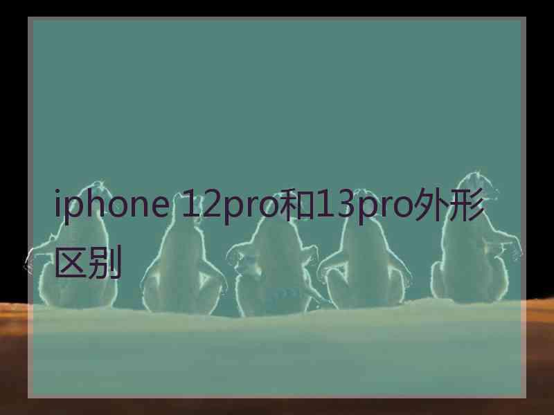 iphone 12pro和13pro外形区别