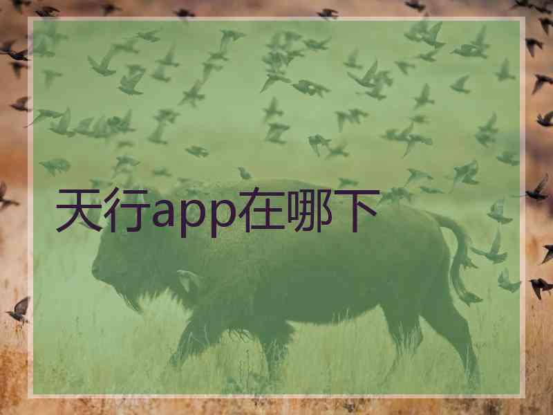 天行app在哪下