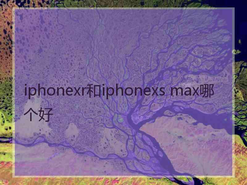 iphonexr和iphonexs max哪个好