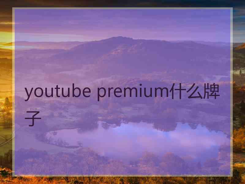 youtube premium什么牌子