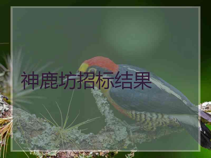 神鹿坊招标结果