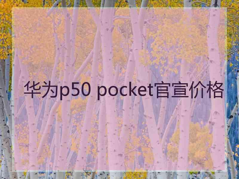 华为p50 pocket官宣价格