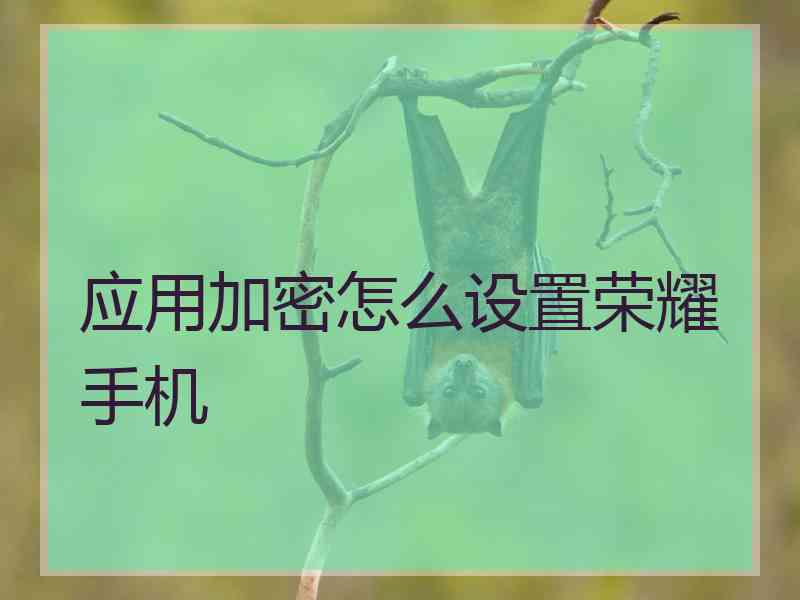 应用加密怎么设置荣耀手机