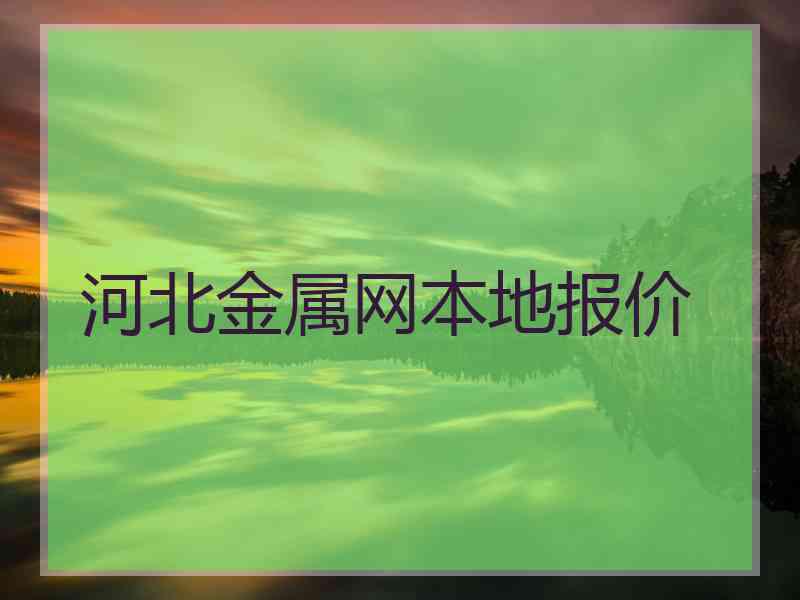 河北金属网本地报价