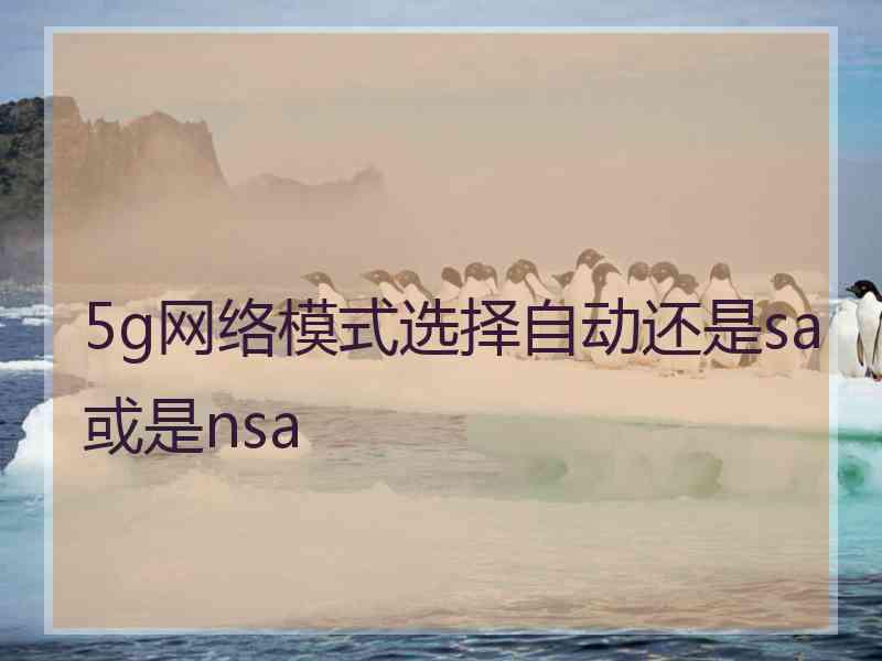 5g网络模式选择自动还是sa或是nsa