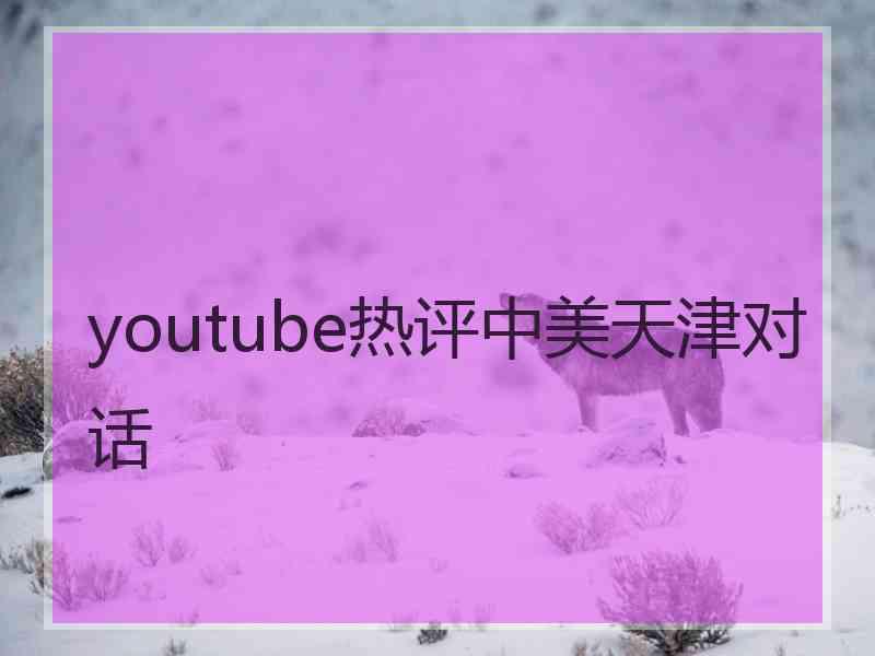 youtube热评中美天津对话