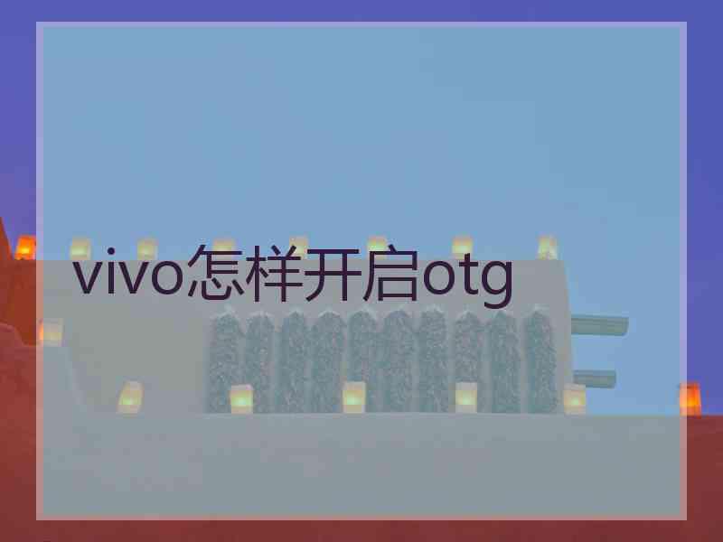 vivo怎样开启otg