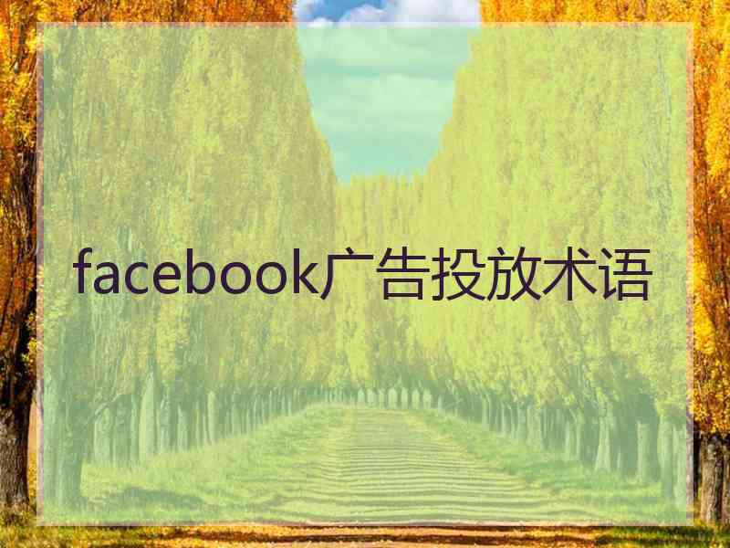 facebook广告投放术语