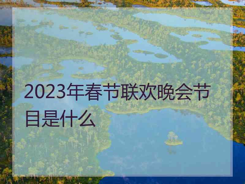 2023年春节联欢晚会节目是什么