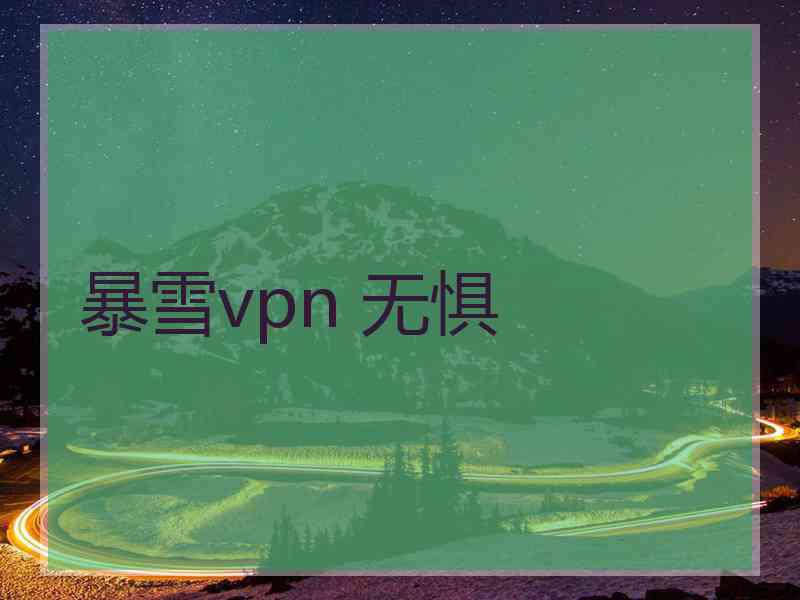 暴雪vpn 无惧