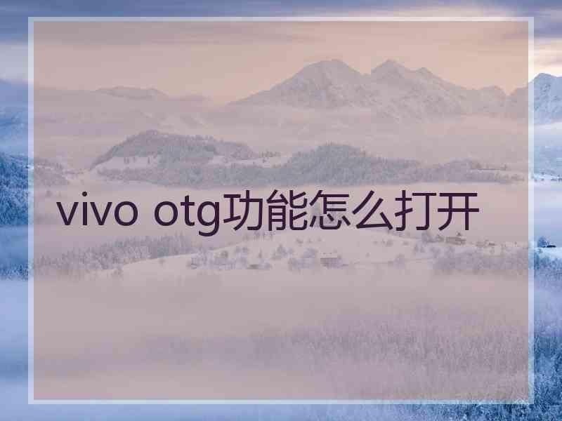 vivo otg功能怎么打开