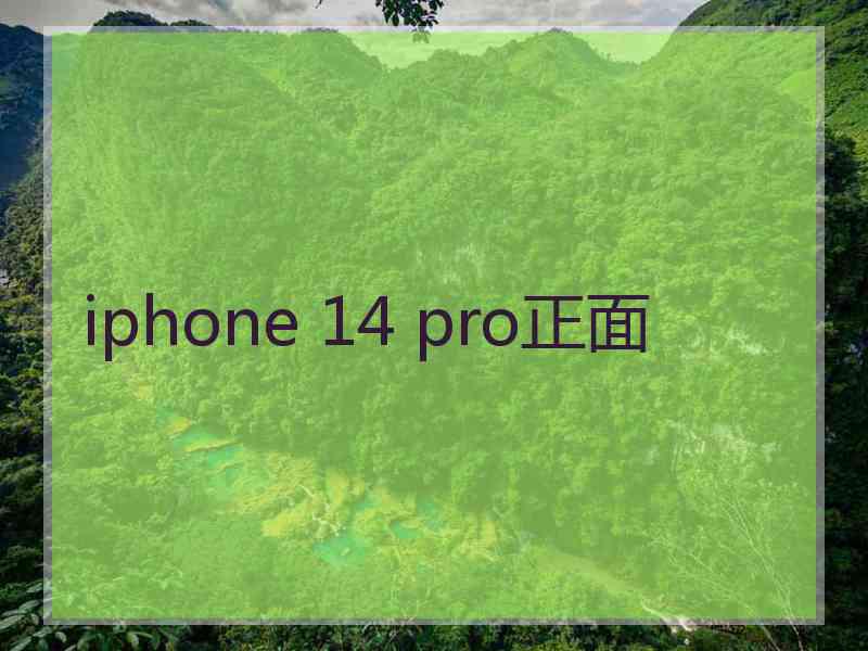 iphone 14 pro正面