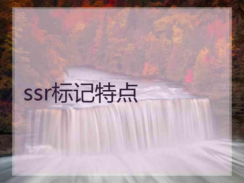 ssr标记特点