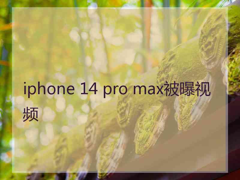 iphone 14 pro max被曝视频