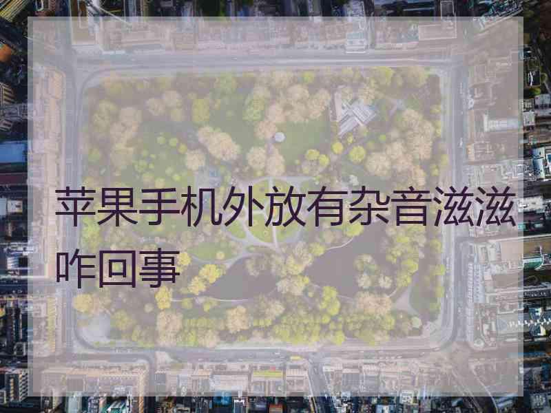 苹果手机外放有杂音滋滋咋回事