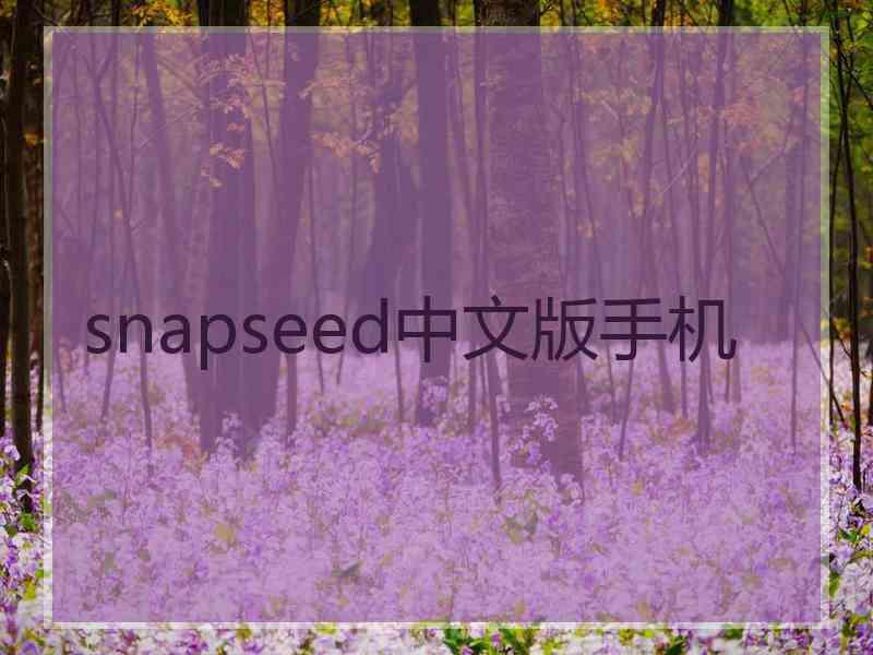 snapseed中文版手机