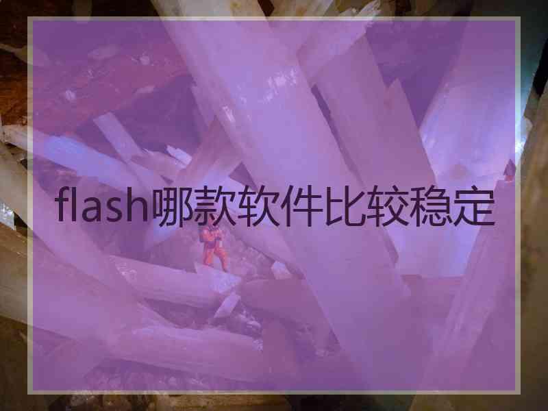 flash哪款软件比较稳定