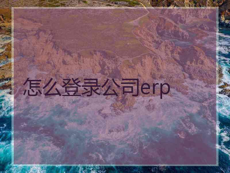 怎么登录公司erp