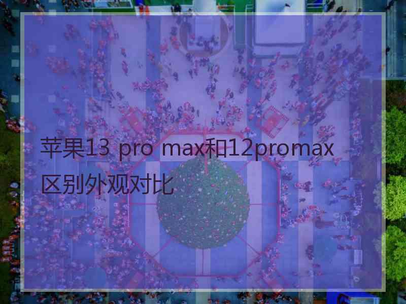 苹果13 pro max和12promax区别外观对比