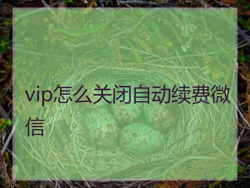 vip怎么关闭自动续费微信