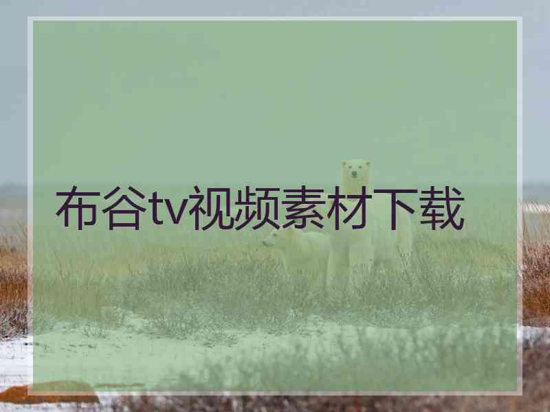 布谷tv视频素材下载