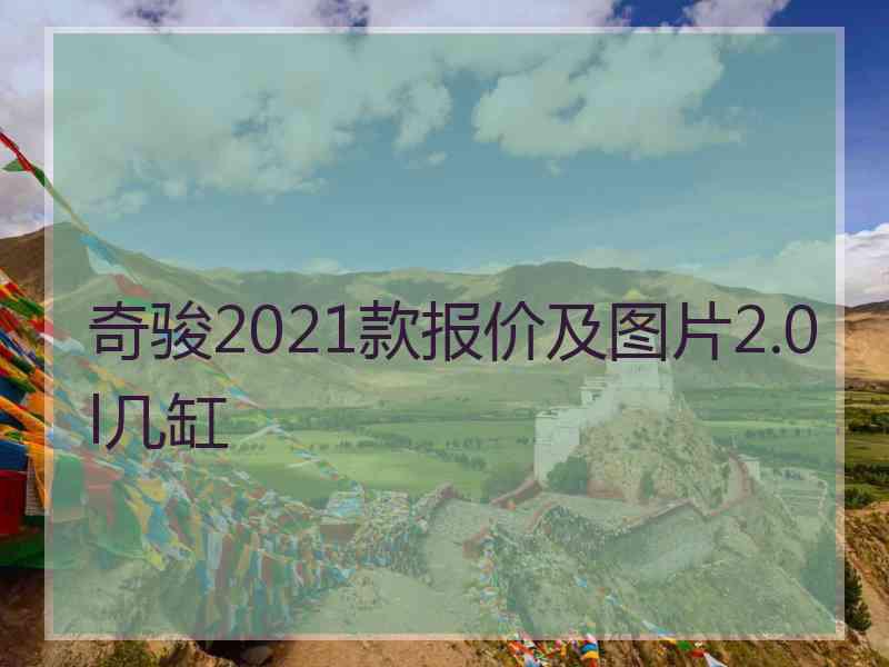 奇骏2021款报价及图片2.0l几缸