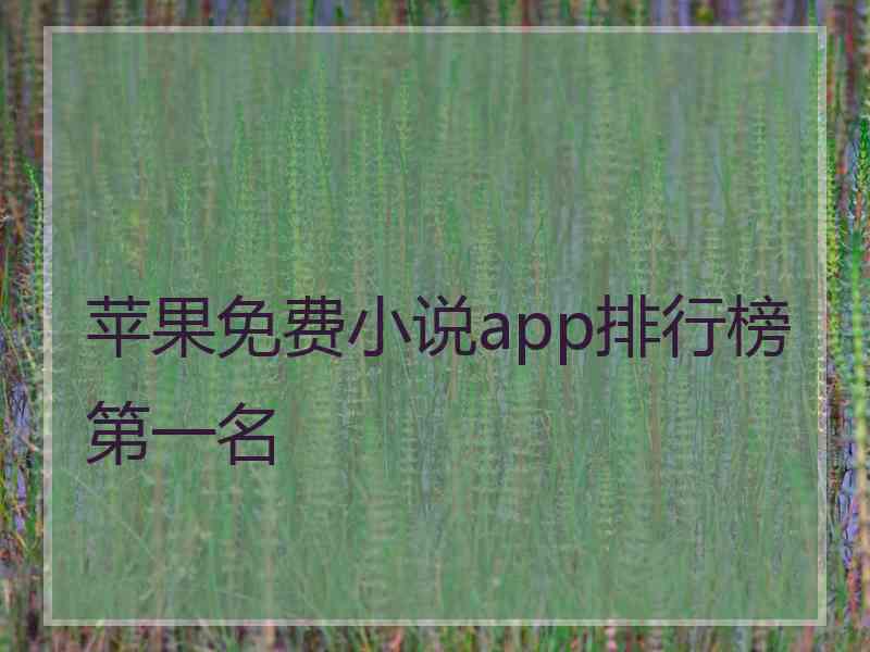 苹果免费小说app排行榜第一名