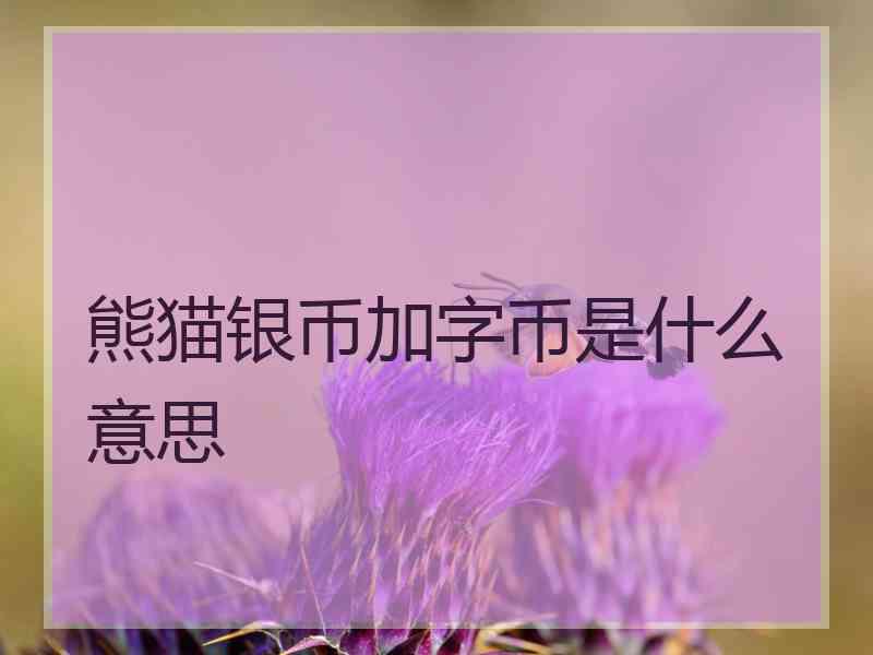 熊猫银币加字币是什么意思