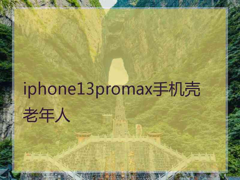 iphone13promax手机壳老年人