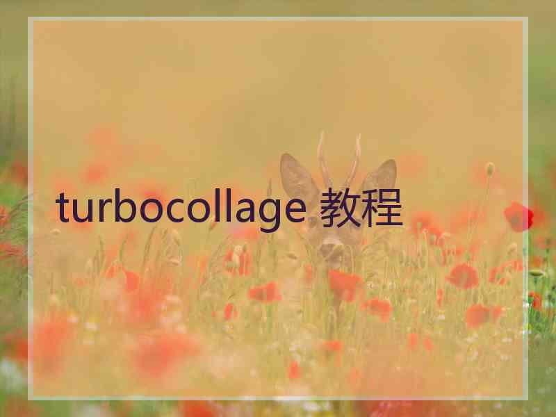 turbocollage 教程