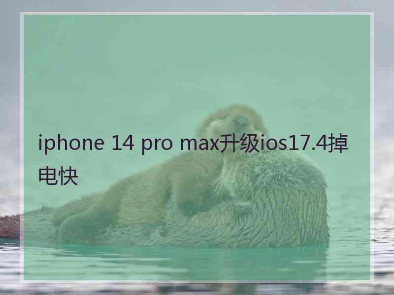 iphone 14 pro max升级ios17.4掉电快