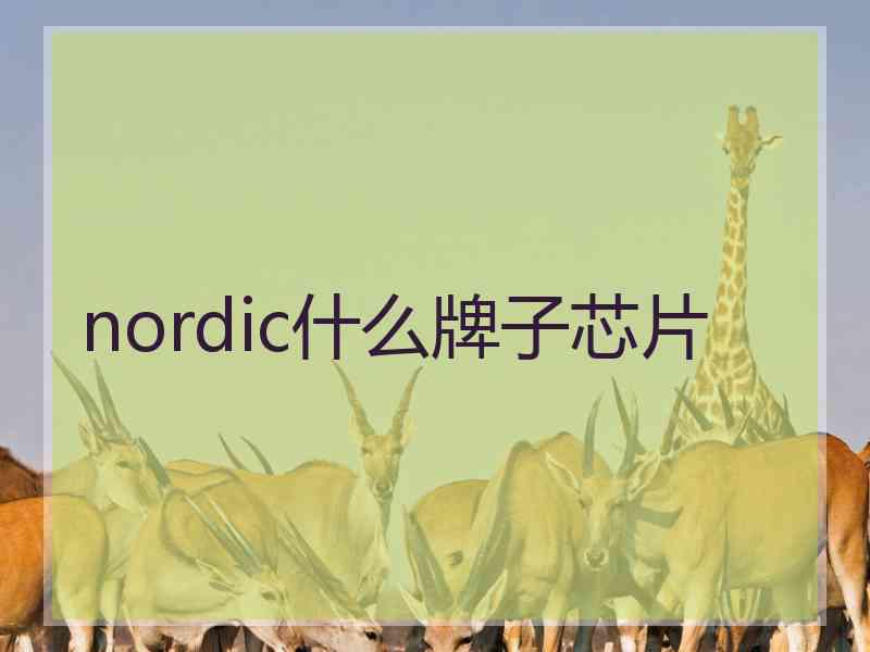 nordic什么牌子芯片