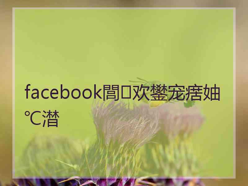 facebook閭欢鐢宠瘔妯℃澘