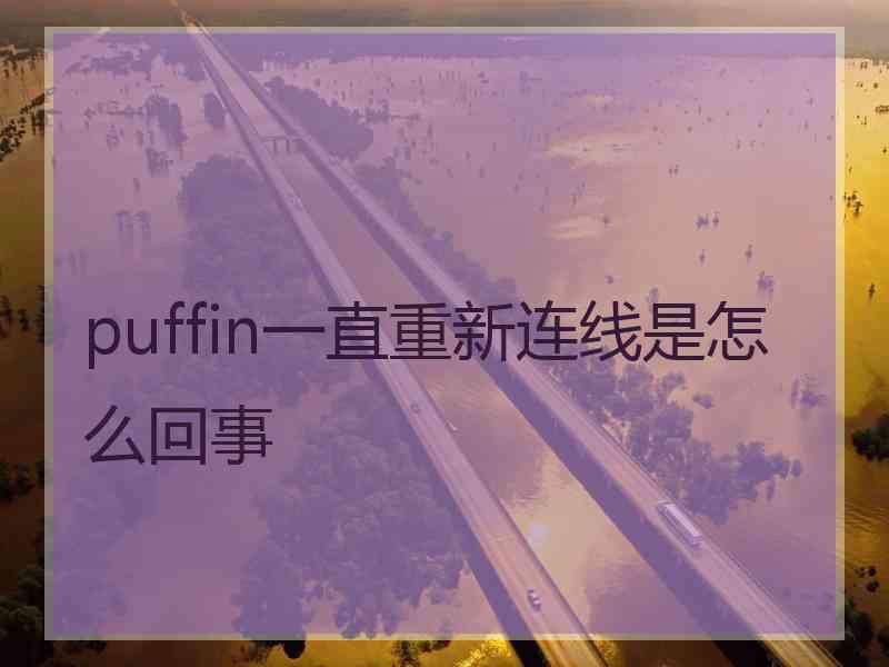 puffin一直重新连线是怎么回事