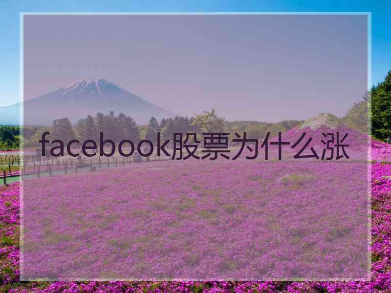 facebook股票为什么涨