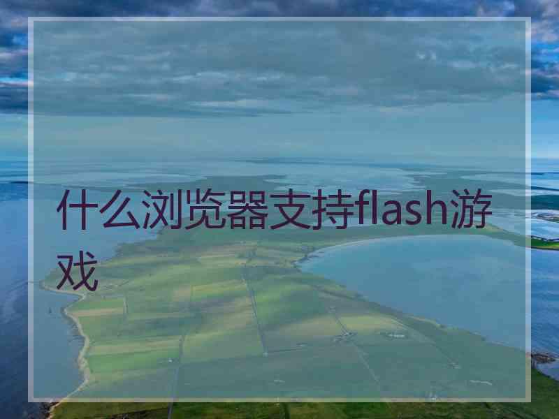 什么浏览器支持flash游戏