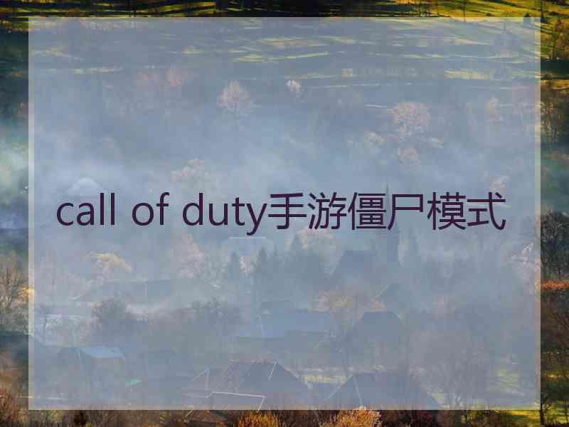 call of duty手游僵尸模式