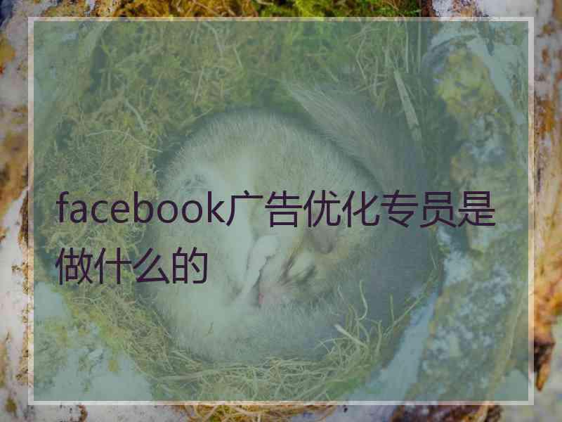 facebook广告优化专员是做什么的