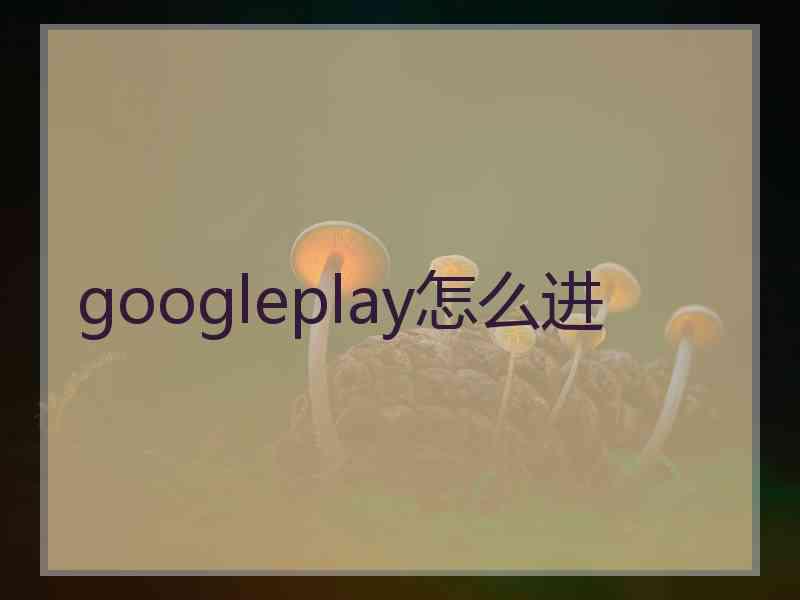 googleplay怎么进