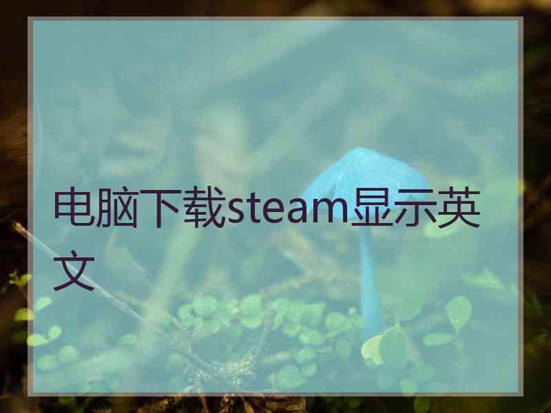 电脑下载steam显示英文