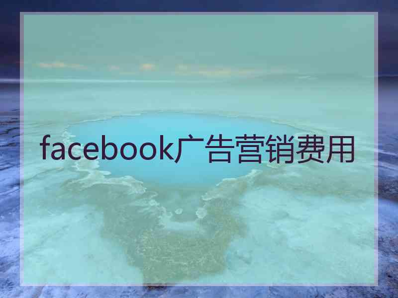 facebook广告营销费用